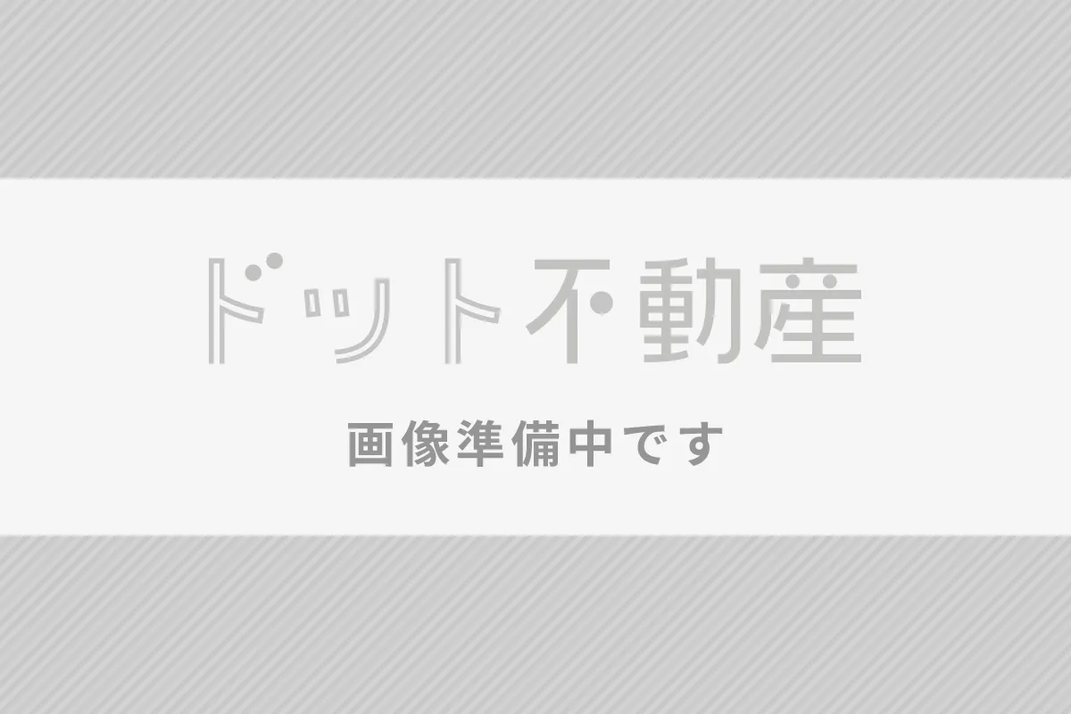 スタッフ紹介